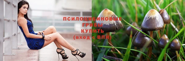 дурь Лиски