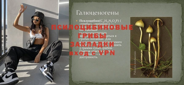 дурь Лиски